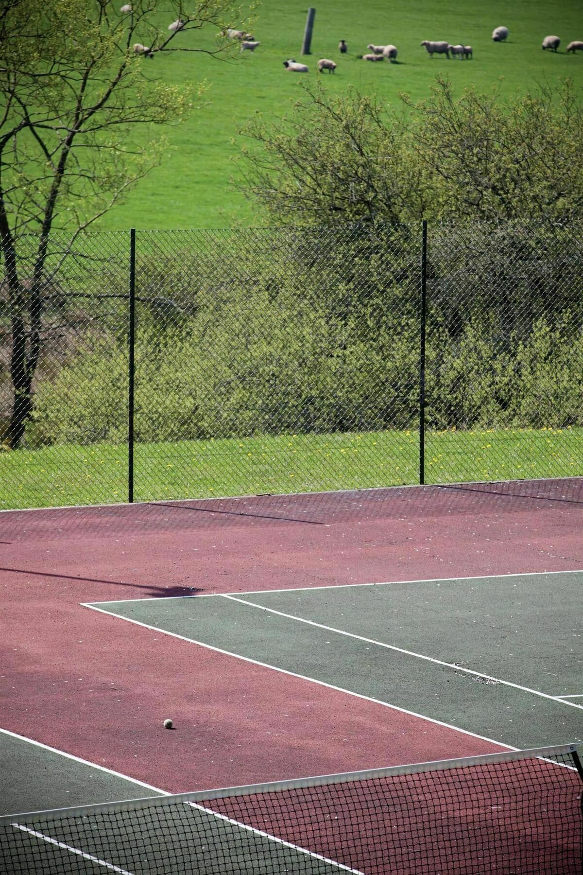 Western Court And